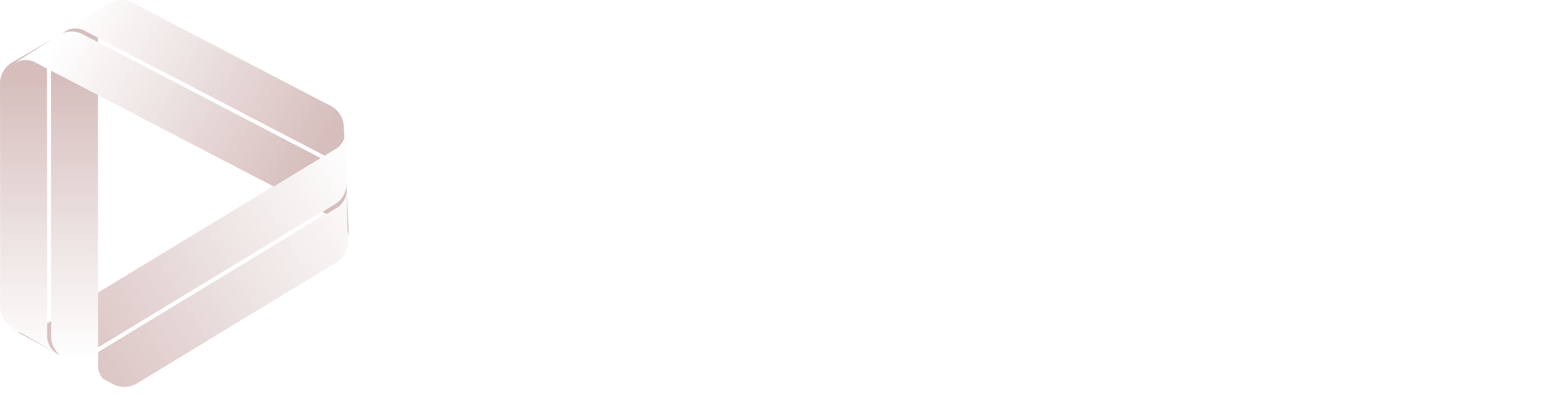 RapidsDB, a Borrui Data company